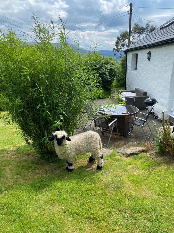 Fron Goch Cottage Dolwyddelan Dış mekan fotoğraf